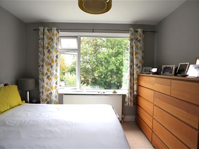 Picture 15